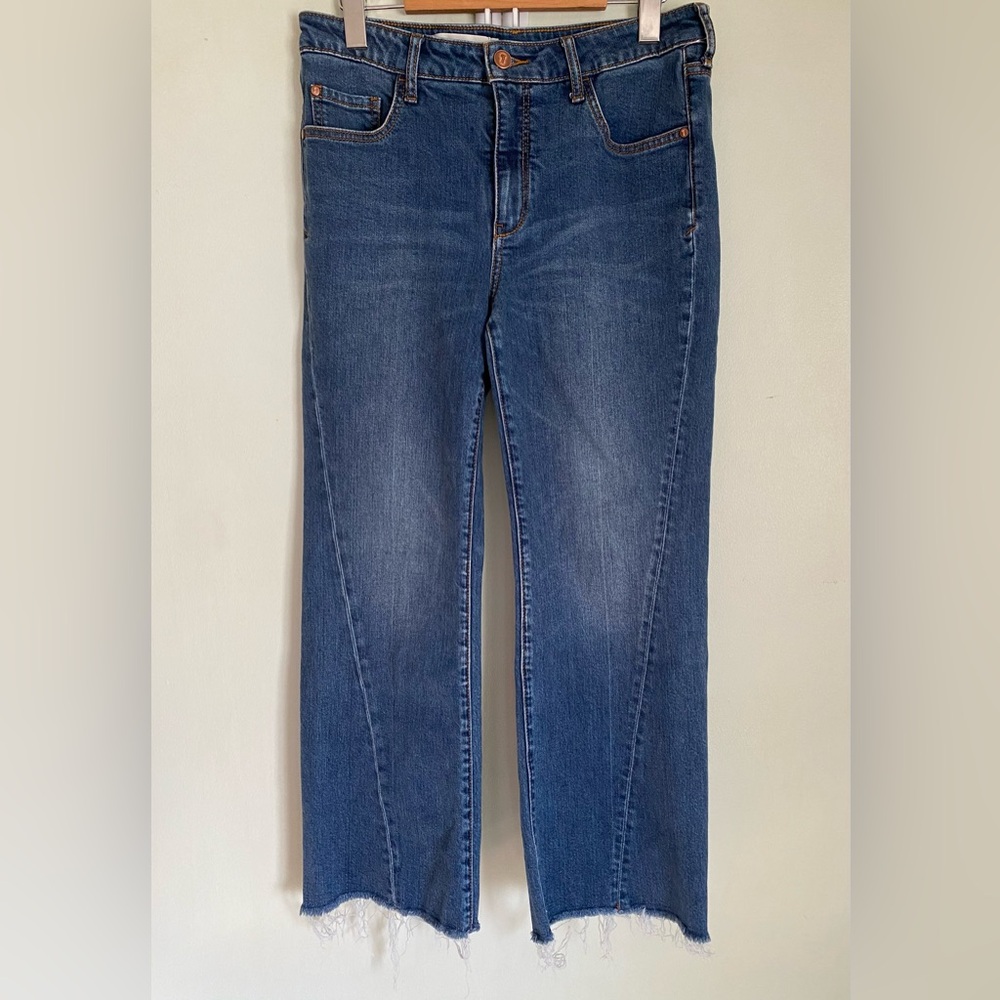Pilcro and The Letter Press Anthropologie High Rise Flare Denim Jeans Size 29